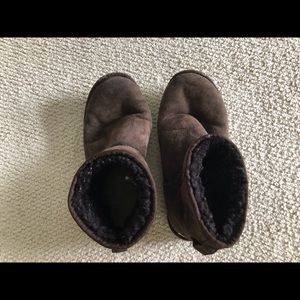 Chocolate brown short uggs